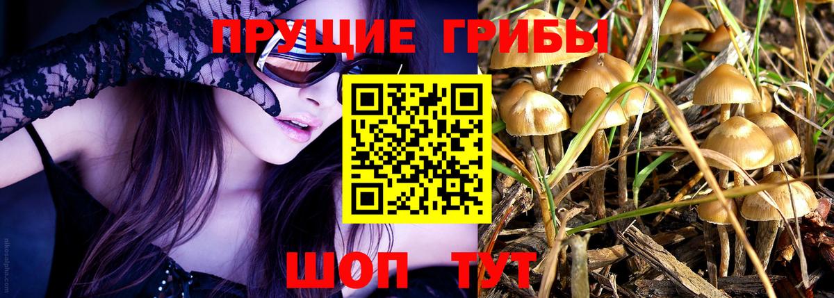 Галлюциногенные грибы GOLDEN TEACHER  Вход с VPN  Котельники 
