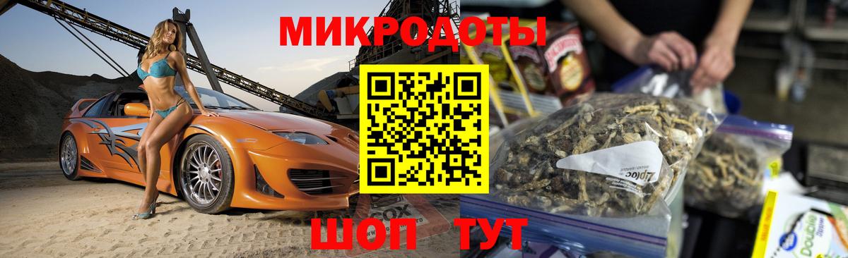 Псилоцибиновые грибы Psilocybe Котельники